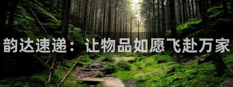 超凡国际为什么没有赢过一次：韵达速递