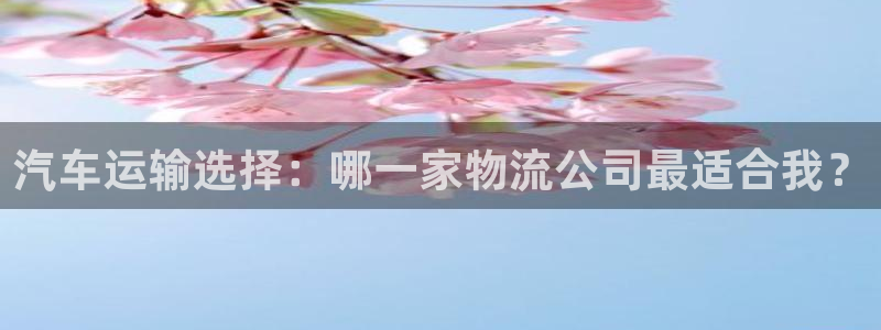 超凡国际可靠吗：汽车运输选择：哪一家