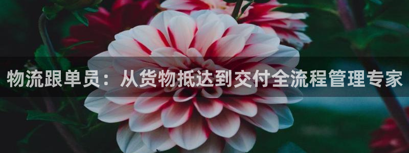 超凡国际电子：物流跟单员：从货物抵达