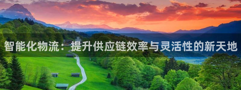 超凡国际免费：智能化物流：提升供应链