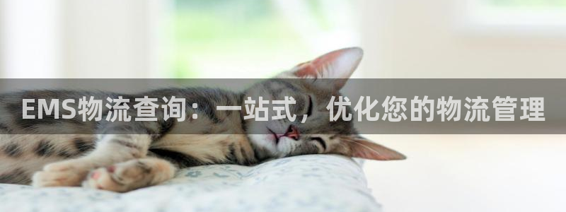 超凡国际p图上分下款通道：EMS物流