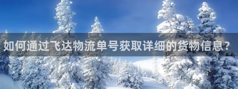 超凡国际绿骨头：如何通过飞达物流单号