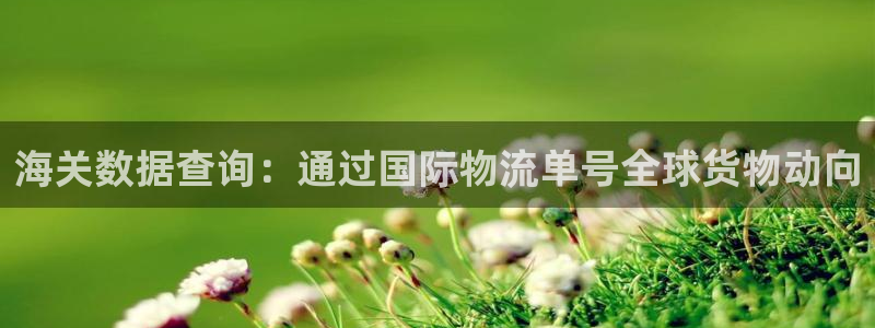 超凡国际官网入口正版：海关数据查询：
