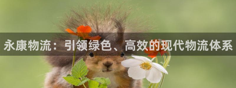 超凡国际注册条件：永康物流：引领绿色