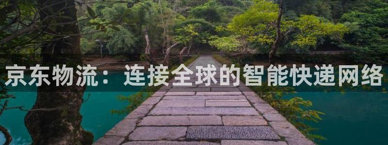 超凡国际官网版2024：京东物流：连