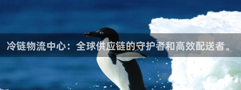 超凡国际官网版2024：冷链物流中心