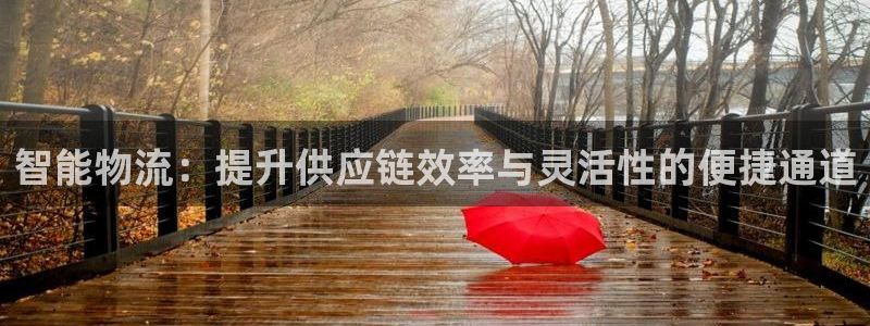 超凡国际是干嘛的：智能物流：提升供应链效率与灵活性的便捷通道