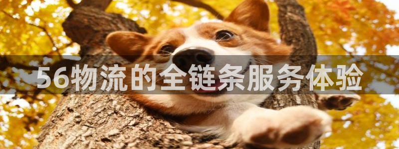 超凡国际加拿大是什么意思：56物流的全链条服务体验