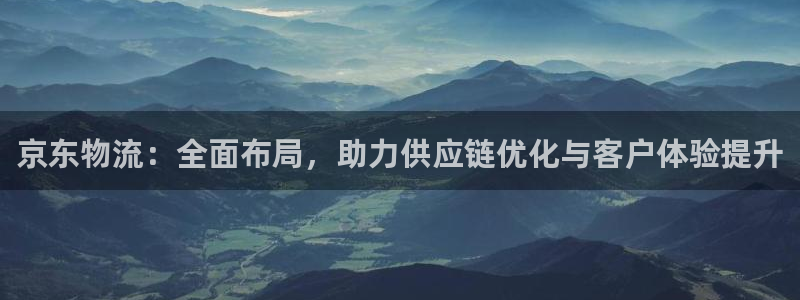 超凡国际是正规软件吗：京东物流：全面
