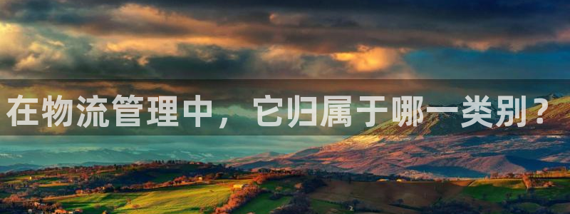 超凡国际充值不处理怎么办：在物流管理中，它归属于哪一类别？