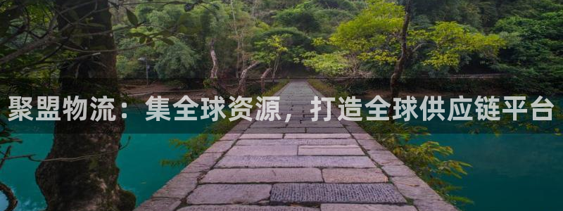 超凡国际官网版2024：聚盟物流：集