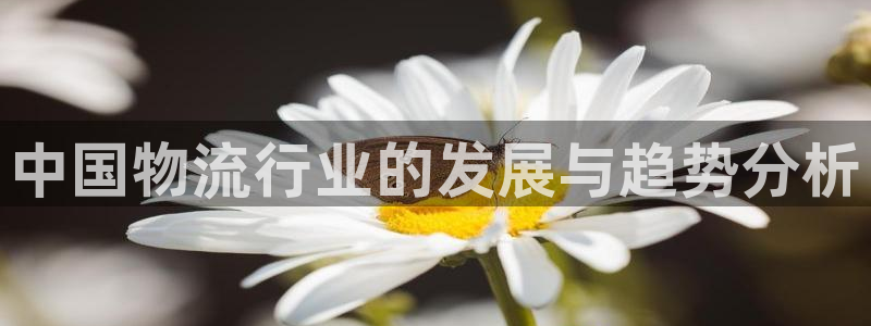 超凡国际提款一直没到：中国物流行业的发展与趋势分析