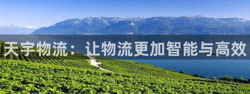 超凡国际注册账号：天宇物流：让物流更