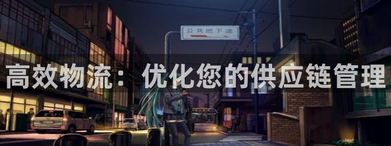 超凡国际官方版正版：高效物流：优化您的供应链管理