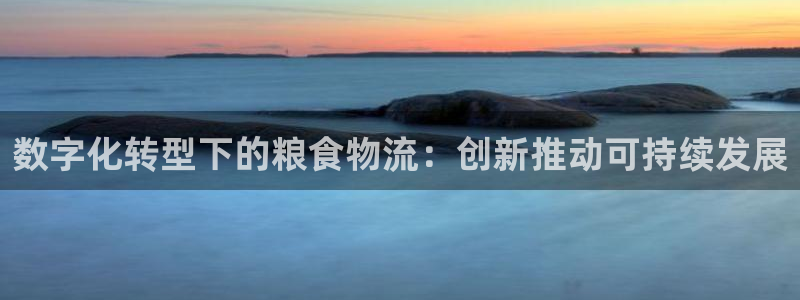超凡国际返水怎么算的：数字化转型下的粮食物流：创新推动可持续